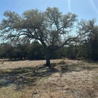 316 Bur Oak Drive Goldthwaite Texas 76844 images 4