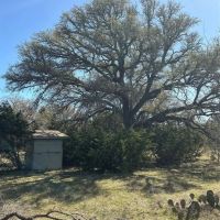 316 Bur Oak Drive Goldthwaite Texas 76844 images 5