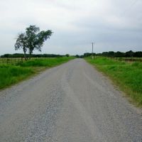 20 Acre Pasture or Homesite images 2