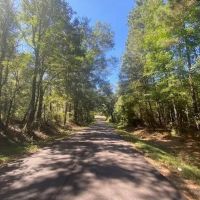 5.57 acres in Salem School District-Walthall County MS images 2