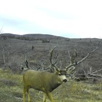 Green Mountain Ranch images 3