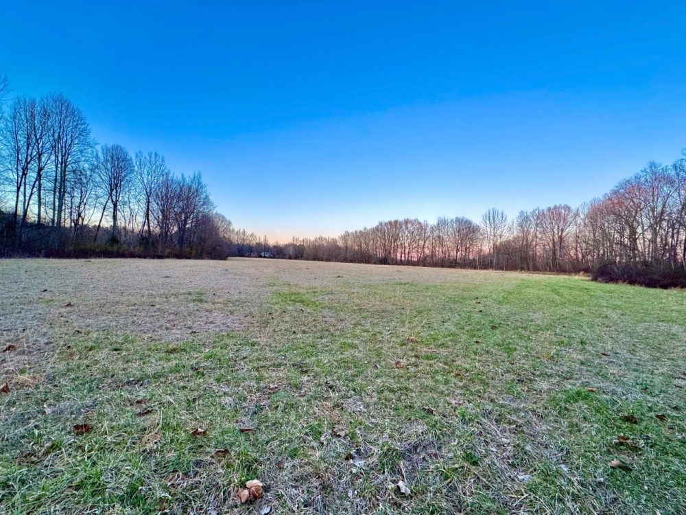17.17 Acres in Hardeman County TN featured image