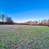 17.17 Acres in Hardeman County TN