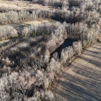 17.17 Acres in Hardeman County TN images 2