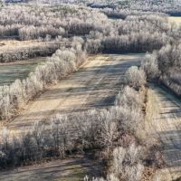 17.17 Acres in Hardeman County TN images 3