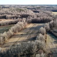 17.17 Acres in Hardeman County TN images 4