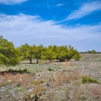 199 Antelope Circle Harper TX 78631 images 3