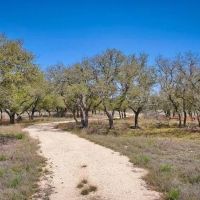 199 Antelope Circle Harper TX 78631 images 4
