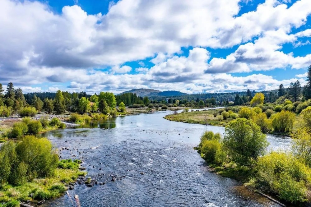 KIRCHER S WHERE THE COLD-WATER RIVERS MEET THE MOUNTAINS Williamson Sprague Rivers featured image
