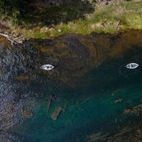 KIRCHER S WHERE THE COLD-WATER RIVERS MEET THE MOUNTAINS Williamson Sprague Rivers images 2