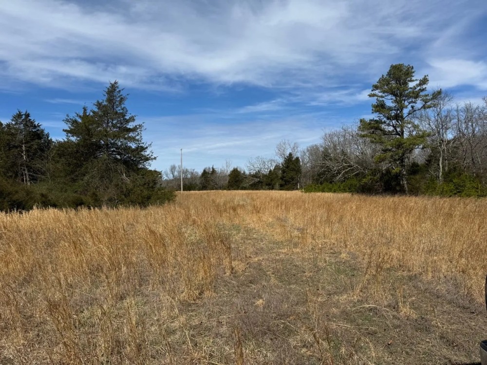 80 Acres in Texas County Missouri featured image
