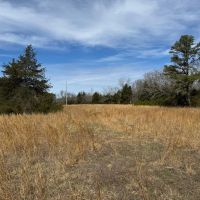 80 Acres in Texas County Missouri