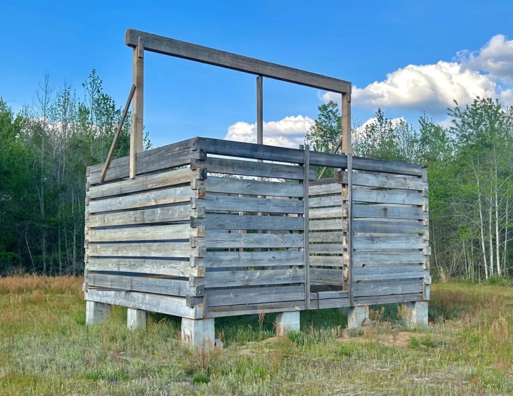 10 Acres in Wilcox County GA featured image