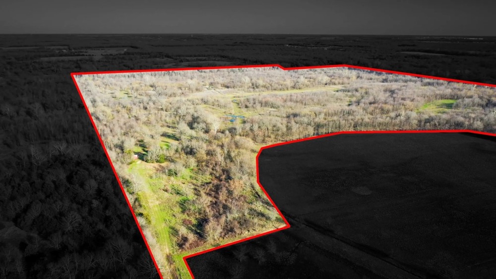 Texas Prime Hunting Land For Sale Sumner TX featured image
