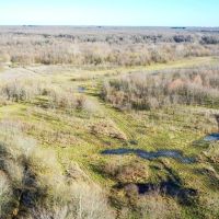 Texas Prime Hunting Land For Sale Sumner TX images 5