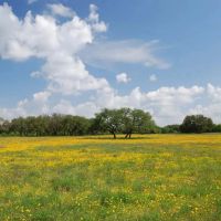 Little Blanco River Ranch images 2