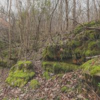 150 Acres with 3 Homes in Putnam County TN images 5