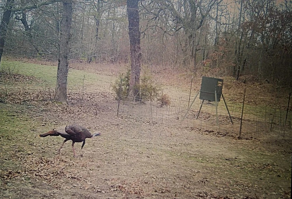 Livin On Spring Turkey Time Property Pushmataha County OK 160 AC featured image