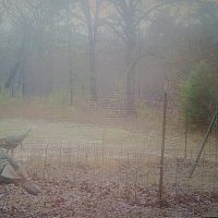 Livin On Spring Turkey Time Property Pushmataha County OK 160 AC images 5