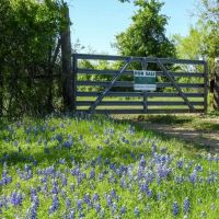 100 Acres Outside Lampasas on Naruna Road images 3
