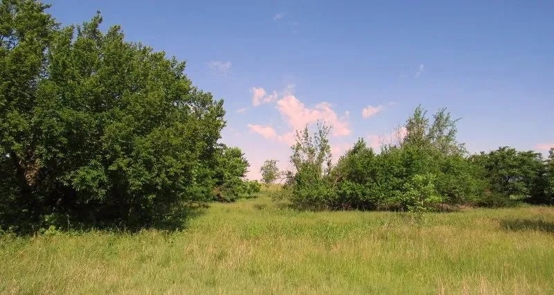 7 19 150 Acres Grassland Pond Income Recreation featured image