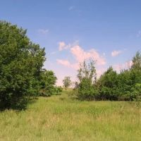 7 19 150 Acres Grassland Pond Income Recreation images 1