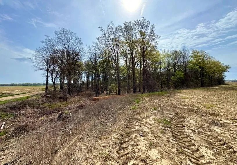 24 Acres in Sunflower County in Ruleville MS featured image