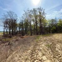 24 Acres in Sunflower County in Ruleville MS