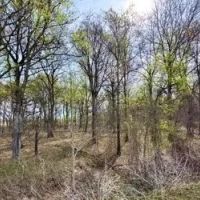 24 Acres in Sunflower County in Ruleville MS images 2
