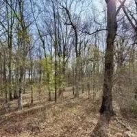 24 Acres in Sunflower County in Ruleville MS images 3