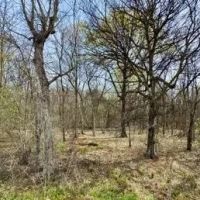 24 Acres in Sunflower County in Ruleville MS images 5
