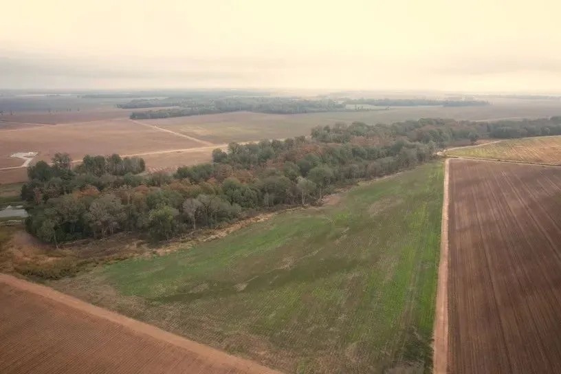 71 Acres in Sunflower County in Ruleville MS featured image