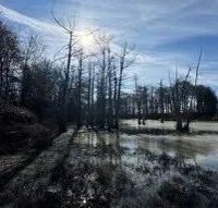 71 Acres in Sunflower County in Ruleville MS images 4