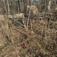 71 Acres in Sunflower County in Ruleville MS images 5