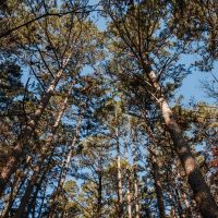 St. Francois Deer and Recreation images 2