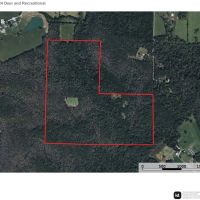 St. Francois Deer and Recreation images 4