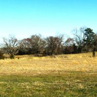 Close Proximity To Kiamichi River Building Lot Choctaw County OK 10 AC images 4