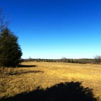 Close Proximity To Kiamichi River Building Lot Choctaw County OK 10 AC images 5