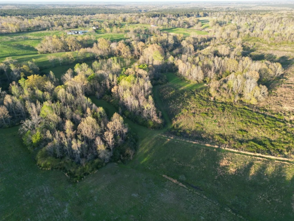68 Acres with a Home in Copiah County MS featured image