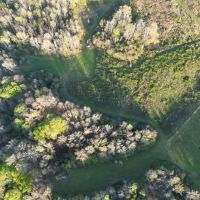 68 Acres with a Home in Copiah County MS images 4