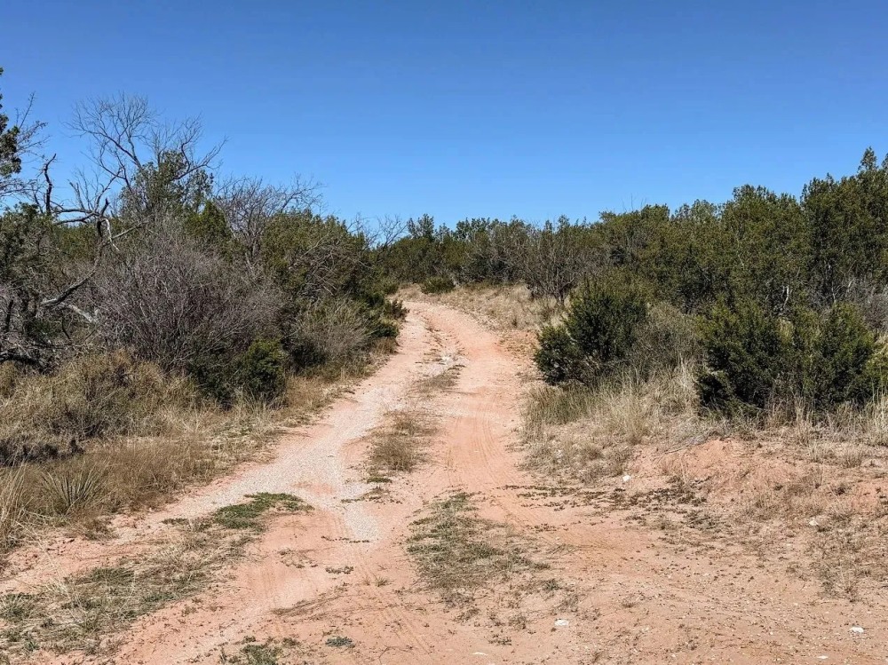 Menielle Road Robert Lee Texas featured image