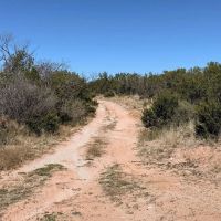 Menielle Road Robert Lee Texas