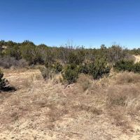 Menielle Road Robert Lee Texas images 3