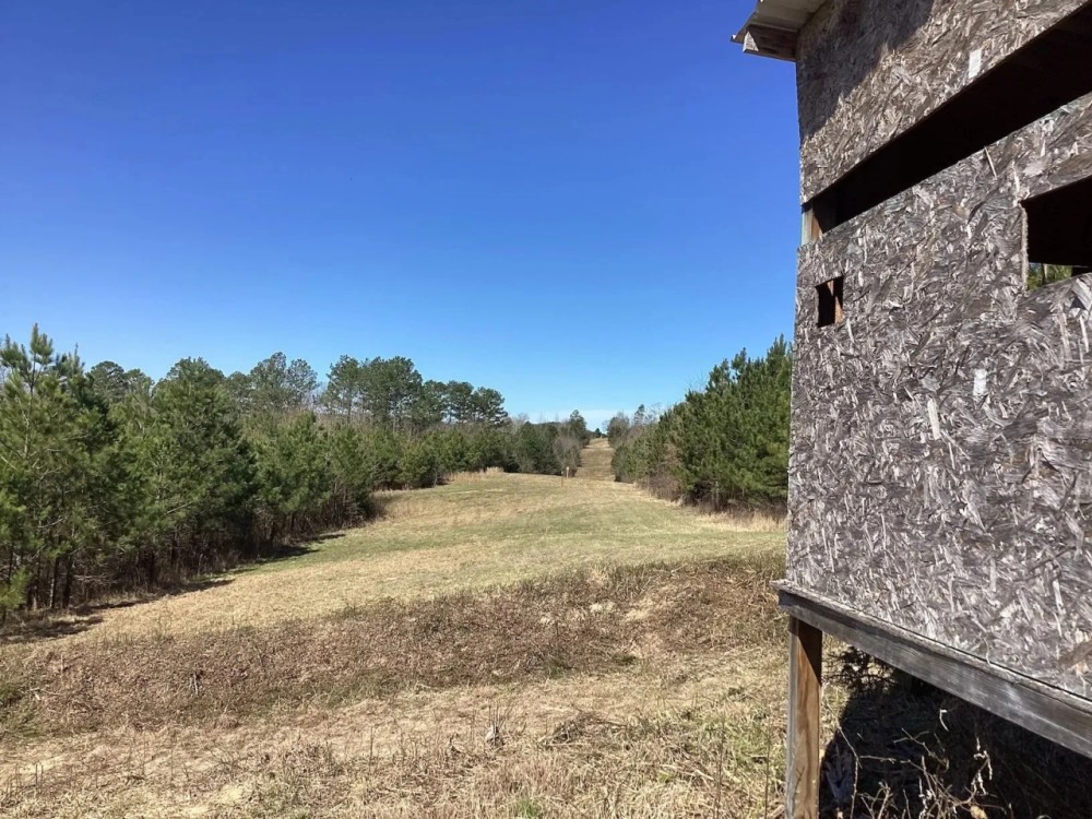 110 Acres on Polk Road 639 in Polk County AR featured image