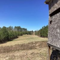 110 Acres on Polk Road 639 in Polk County AR images 1