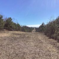 110 Acres on Polk Road 639 in Polk County AR images 2