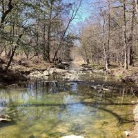 110 Acres on Polk Road 639 in Polk County AR images 3