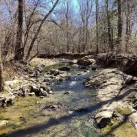 110 Acres on Polk Road 639 in Polk County AR images 4