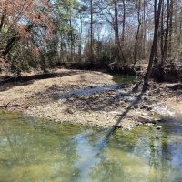 110 Acres on Polk Road 639 in Polk County AR images 5
