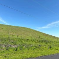 42 - Acre Property Offering Located in Waterford California
